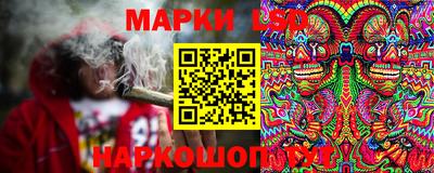 сатива Кимры